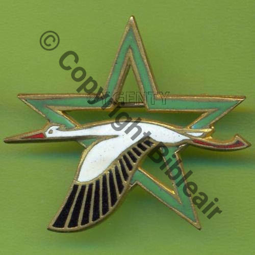 TOUR  A0852 BA.705 TOURS  DrP Epingle a nourrice Guilloche EMAIL Src.Y.GENTY 